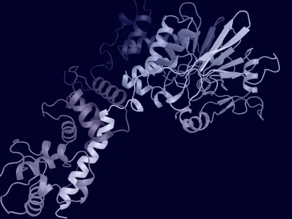 Calcineurin inhibitors